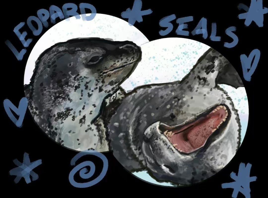 Leopard Seal Double Sided Keychain